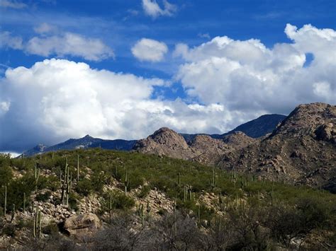 Hiking In Catalina State Park: Tucson, AZ | Raven and Chickadee