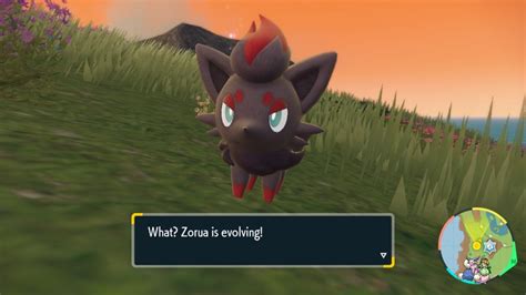 Pok Mon Escarlata Y Violeta C Mo Atrapar A Zorua Y Zoroark Gu A De