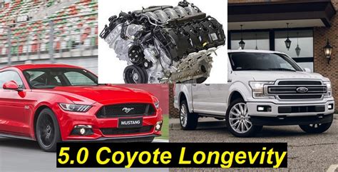 Ford 5 0L Coyote Engine Longevity Problems And Specs