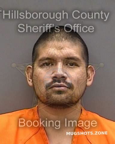 SALAZAR OSCAR 05/24/2023 - Hillsborough County Mugshots Zone