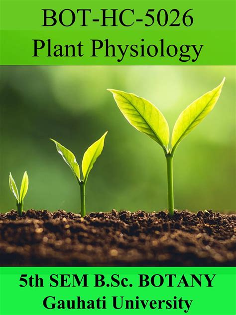 5th Sem B Sc Botany Plant Physiology Paper Exam Ready Notes