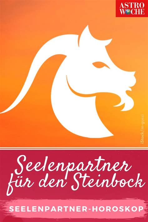 Seelenpartner Horoskop Klarsicht und Mut für den Steinbock Horoskop