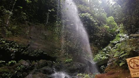 Cascada De Los Tilos La Palma Islas Canarias Youtube