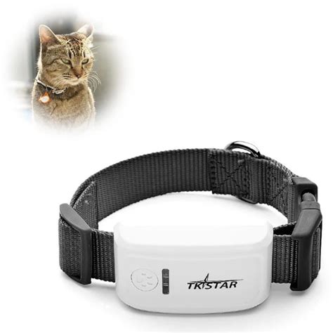 Smallest GPS Pet Tracker With Collar GSM/GPRS Positioning Real Time GPS ...