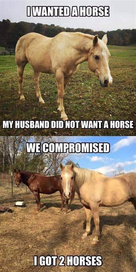 Horse Quotes Funny Funny Horse Pictures Horse Jokes Horse Riding