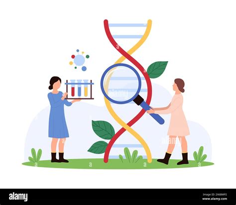 Genes Explore Cut Out Stock Images And Pictures Alamy