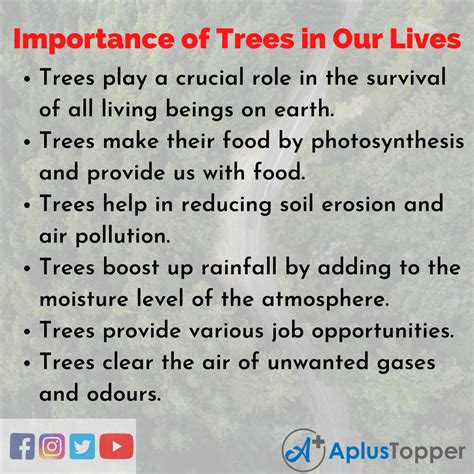 Essay On Importance Of Trees In Our Lives Importance Of Trees In Our