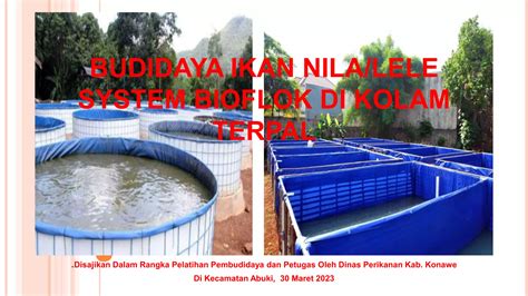 Presentasi Budidaya Sistem Bioflok Pptx