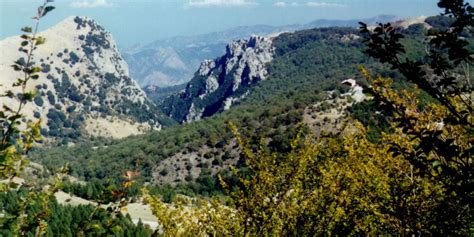 Al Via Natura Mediterranea Nel Parco Delle Madonie Escursioni E