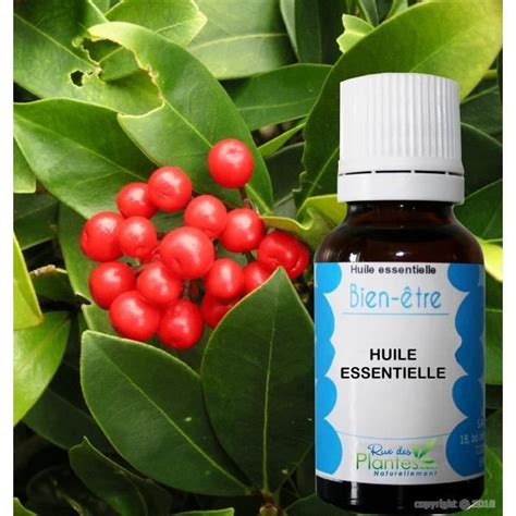 Huile essentielle de Wintergreen gaulthérie 30ml Cdiscount Santé