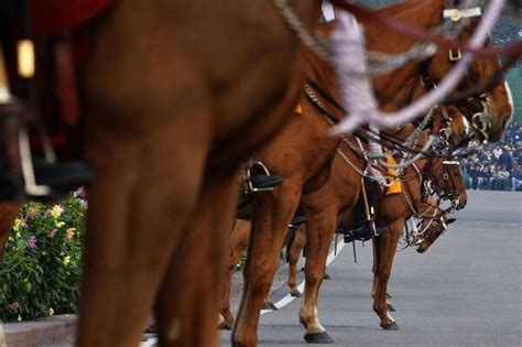 Beating The Retreat Ceremony In New Delhi The Globe And Mail