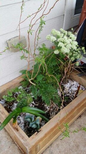 Planter Box Using Repurposed Dresser