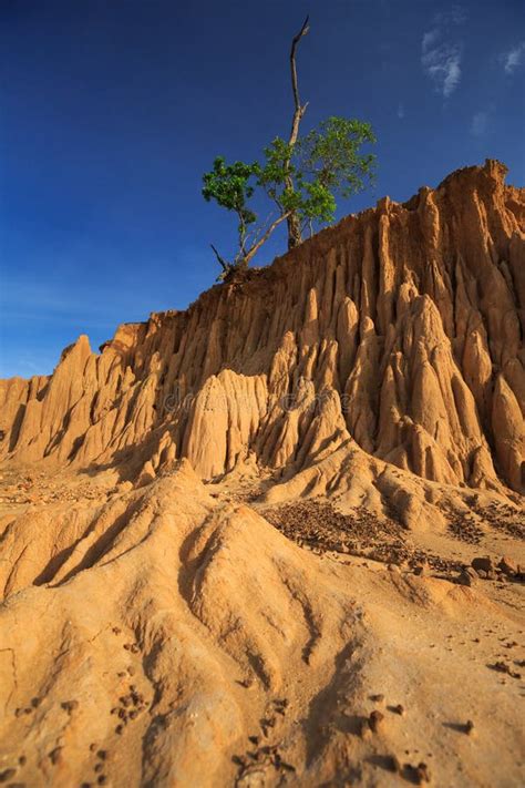 Sao Din Na Noi In Sri Nan National Park Nan Province Thailand Stock