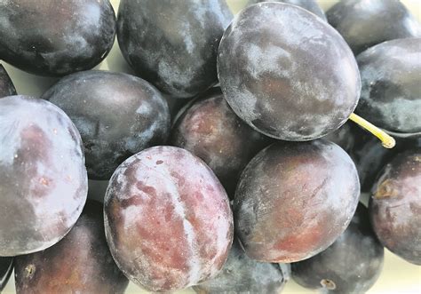 Try this versatile purple fruit for a plum-delicious feeling | The Western Producer