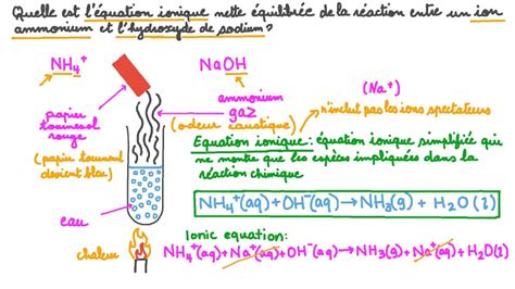 Vidéo question Écrire léquation ionique nette équilibrée de la