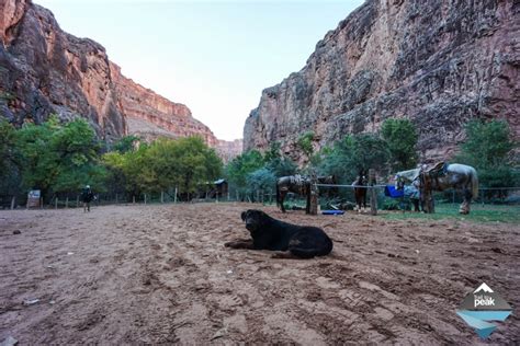 Hiking From Supai Village To Navajo, Havasu, and Mooney Falls - Trail ...