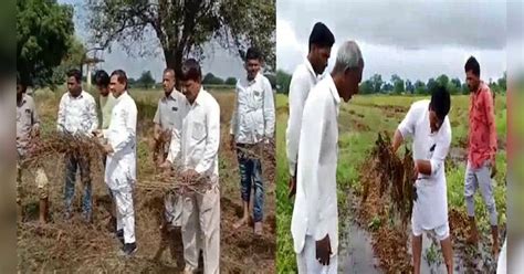 Ratlam Congress Bjp Mla Reached Farm Demand For Compensation Of Farmers