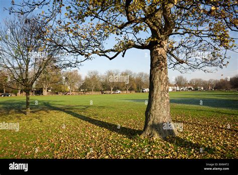 Cranmer Green Mitcham London Borough Of Merton South London England