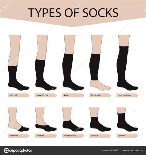 Types Socks Set Various Forms Socks Garment Vector Illustration Design