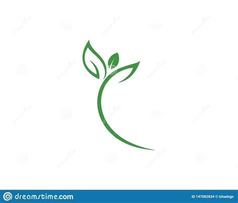 Dise O Del Logotipo Del Vector De La Hoja Del Rbol Ilustraci N Del