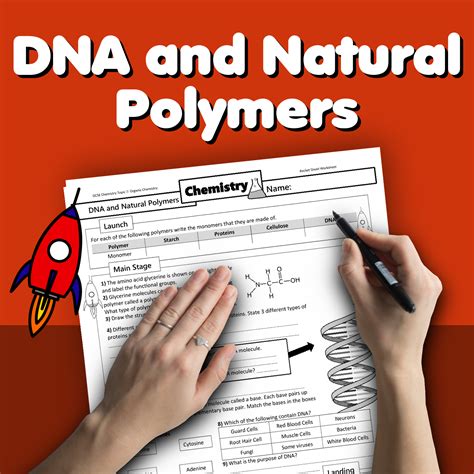 DNA and Natural Polymers Home Learning Worksheet GCSE - rocketsheets.co.uk