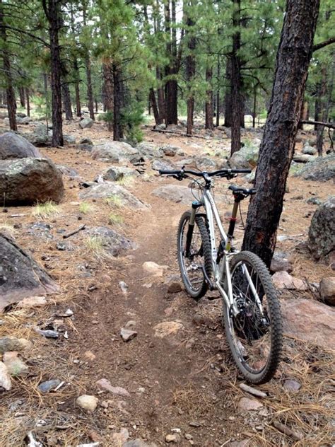 Mountain Biking Flagstaff, Arizona - Singletracks Mountain Bike News