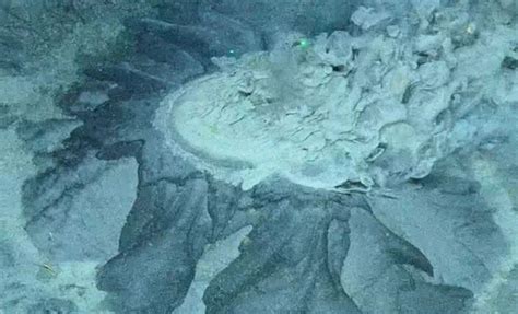Scientists Uncover a Deep-Sea Mystery Hidden Beneath the Arctic Ocean