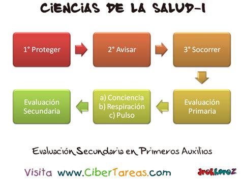 Evaluación Secundariaprimeros Auxilios Ciencias De La Salud 1