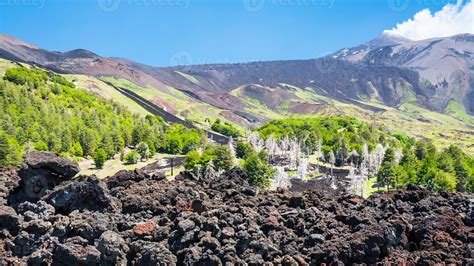 view of hardened lava flow on slope of Etna mount 11687426 Stock Photo at Vecteezy