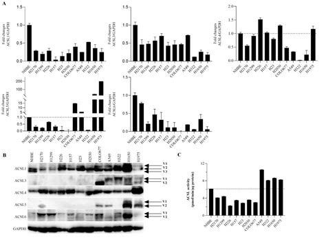 Figure 1 From The Diagnostic Value Of ACSL1 ACSL4 And ACSL5 And The