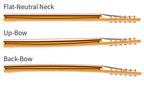 Understanding Truss Rods And How To Adjust Them Electric Guitar