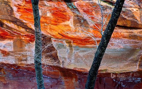 Oak Creek Canyon 1080p 2k 4k 5k Hd Wallpapers Free Download Wallpaper Flare