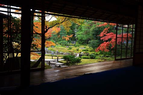 無鄰菴の縁側とガラス戸の向こうに広がる見事な秋の庭園 紅葉 写真 木造建築 紅葉 庭園