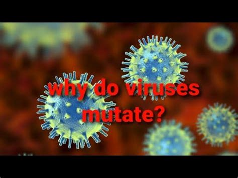 Why Do Viruses Mutate Youtube