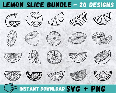 Lemon Slice Svg Lemon Slice Cricut Lemon Svg Lemon Vector Etsy México