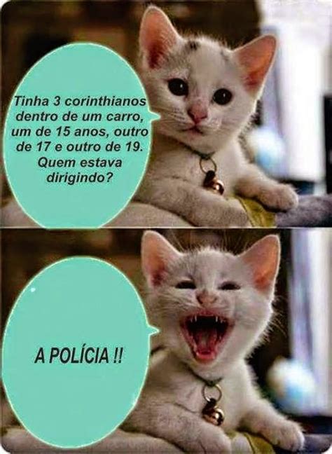 Sorrir Faz Bem Piadas Do Gato Siqueira News