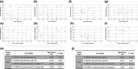 Expression Of P16 And P21 In The Frontal Association Cortex Of ALS MND