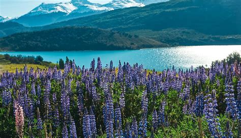 Beste Reisezeit F R Patagonien Tipps Infos Wedesigntrips