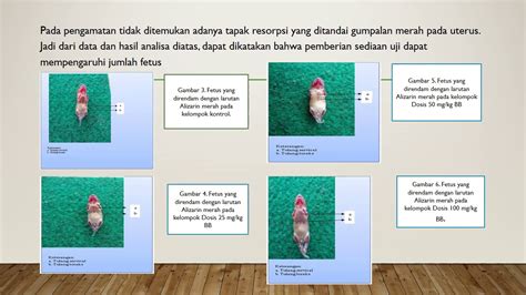 PPT TOksikologi Kelompok 4 Uji Efek Teratogenik Ekstrak Etanol Daun