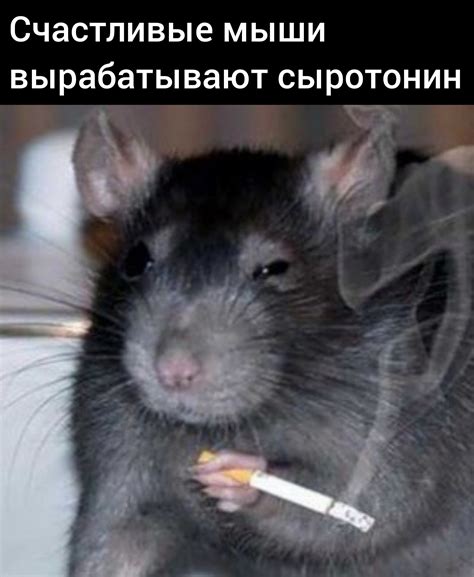 Серотонинчика бы | Пикабу