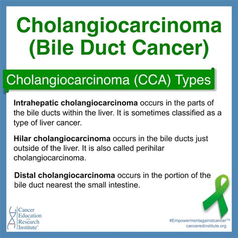 Cholangiocarcinoma Bile Duct Cancer Cancer Education And Research