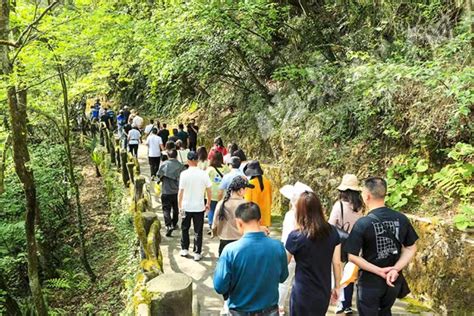 今日老区 百余家旅行社踩线巫峡深山湖北省巴东县