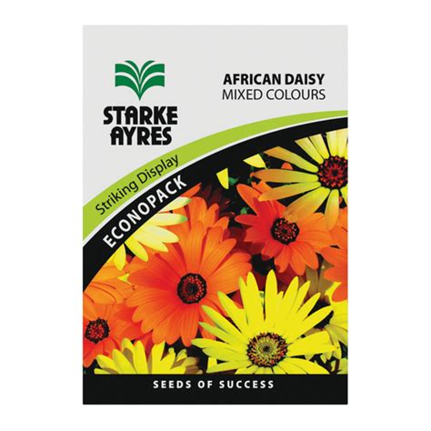 Starke Ayres African Daisy Smart Price Specials PnP Home