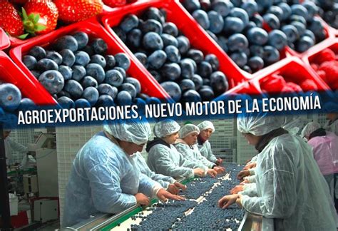 Exportaciones Agrarias Nuevo Motor De La Econom A El Montonero