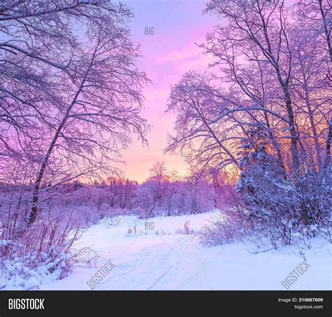 Winter Panorama Image & Photo (Free Trial) | Bigstock