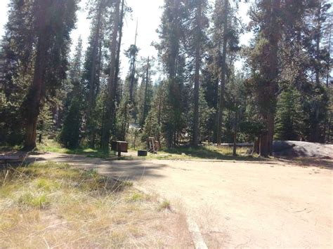 Yosemite Creek Campground Yosemite National Park Ca 10 Campground Views