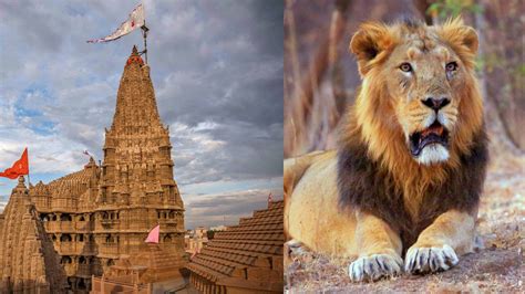 Gujarat Tour Packages Book Holidays In Gujarat At The Best Prices