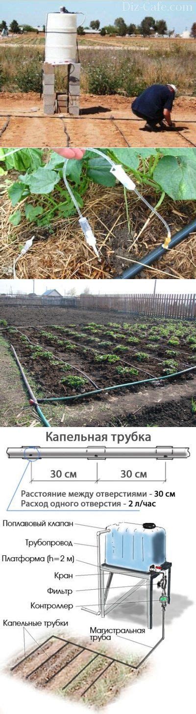 САД, ОГОРОД, ДАЧА, ПОДВОРЬЕ... | Garden planning, Garden projects ...