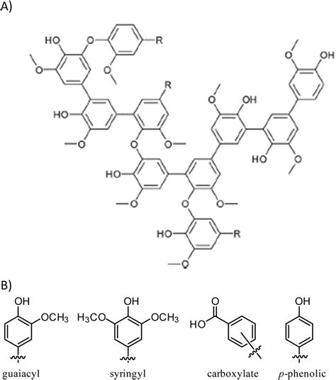 A Generalized Structure Of Lignin And B Classification Of