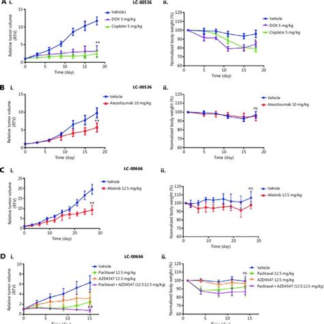 Patient Derived Xenograft Pdx Tumor Growth Kinetics A Illustration